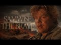 (LOTR) Samwise the Brave