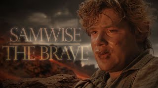 (LOTR) Samwise the Brave