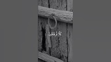 ألهاكم التكاثر | تلاوة خاشعة | تلاوة هادئة تريح النفس