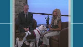 Pet of the Week: Poppet