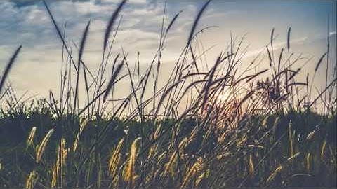 تلاوة شجية في قمة العذوبة اجمل ماسمعت