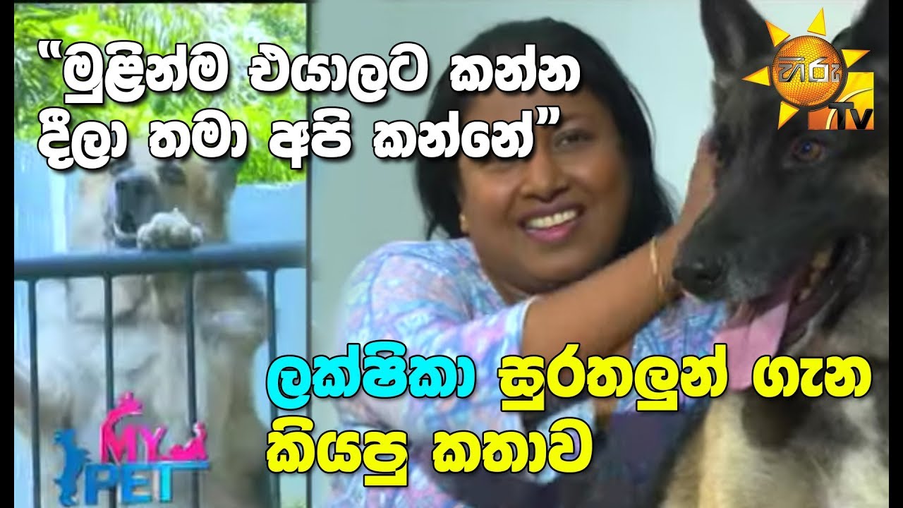 number one for me lyrics ලක්ෂිකා සුරතලුන් ගැන කියපු කතාව... - MY PET | EP 08 | 2019-08-09