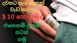 How to earn E-Money Sinhala 2024 | ySense earning sinhala | Earm $10 in 2 hours | Emoney Itech