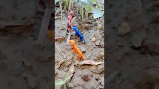 Tu Dunya Tu Wakh Tenu Ta Chunya.tenu Manya Star A Mandir Aj Di.