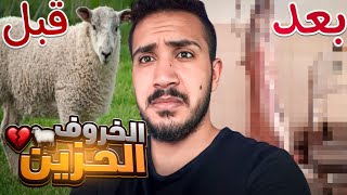 قصص الطفوله - نهاية صاحبي الخروف الحزين  !