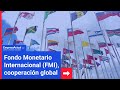«Fondo Monetario Internacional (FMI)» | Empresa Actual
