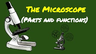 SCIENCE 7: PARTS OF THE MICROSCOPE AND THEIR FUNCTIONS