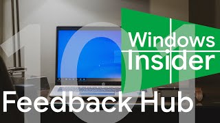feedback hub | windows insider program 101