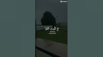 قران كريم #allah #quran #حالات_واتس #اكسبلور #الجزائر #لايك #ترند #تيك_توك #السعودية #فلسطين #المغرب