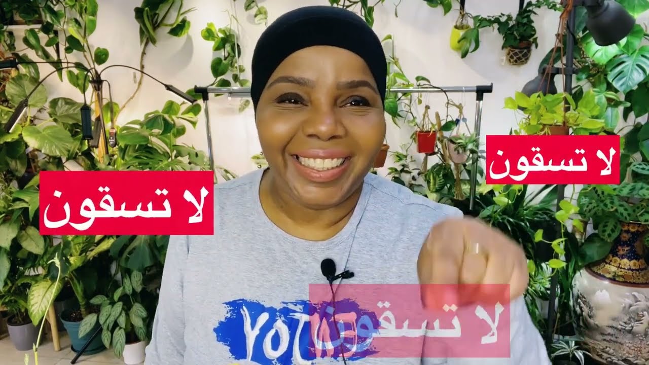 ارشادات وتعليمات حول سقي النباتات المنزلية