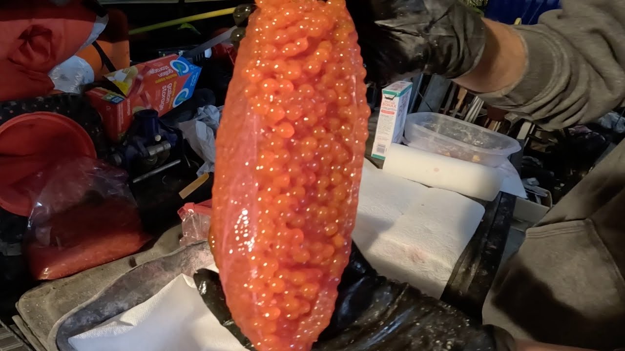 How To Cure Salmon Eggs