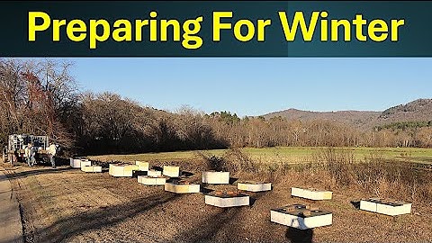 Preparing Bee Colonies For Winter / 3 Crucial Components