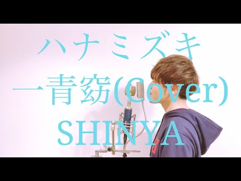 【フル歌詞】" ハナミズキ " 一青窈/ covered by SHINYA