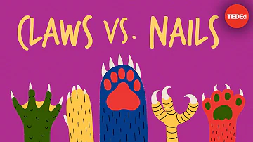 Claws vs. nails - Matthew Borths