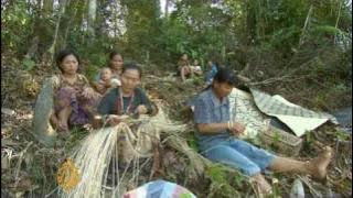 Malaysia's Penan tribe resist logging firms - 03 Sep 09