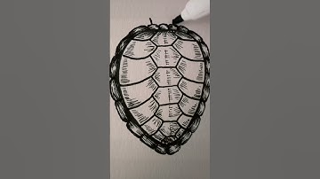 How to draw a sea turtle!