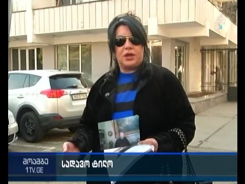 ვან დეიკის სადავო ტილო - რა მასალები გადასცა ეკა აბაშიძემ საგამოძიებო სამსახურს