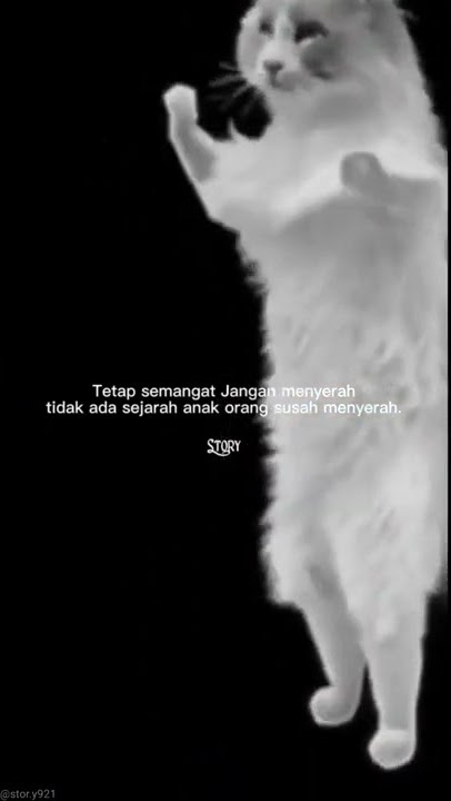 STORY WA || JOGET SANTUY || VIDEO LUCU BIKIN NGAKAK 😂