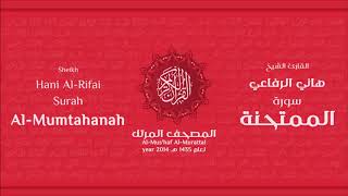 سورة الممتحنة للشيخ هاني الرفاعي