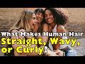 The Science Behind Straight, Wavy, and Curly Hair
