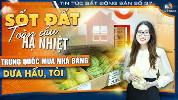 [Tin tức BĐS số 37] Sốt đất toàn cầu hạ nhiệt - Trung Quốc mua nhà bằng dưa hấu, tỏi