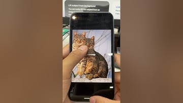 The strongest function of iOS 16：Lift subject from background#shorts