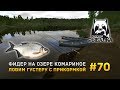 Русская рыбалка 4 #70 - Фидер на озере Комарином. Ловим Густеру с прикормкой