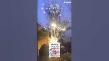 تلاوة عطرة مباركة جميلة عذبة خاشعة للشيخ سعد الغامدي ماتيسر من سورة الفجر