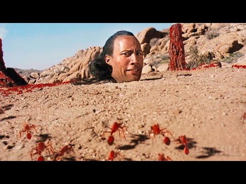 Hormigas de fuego