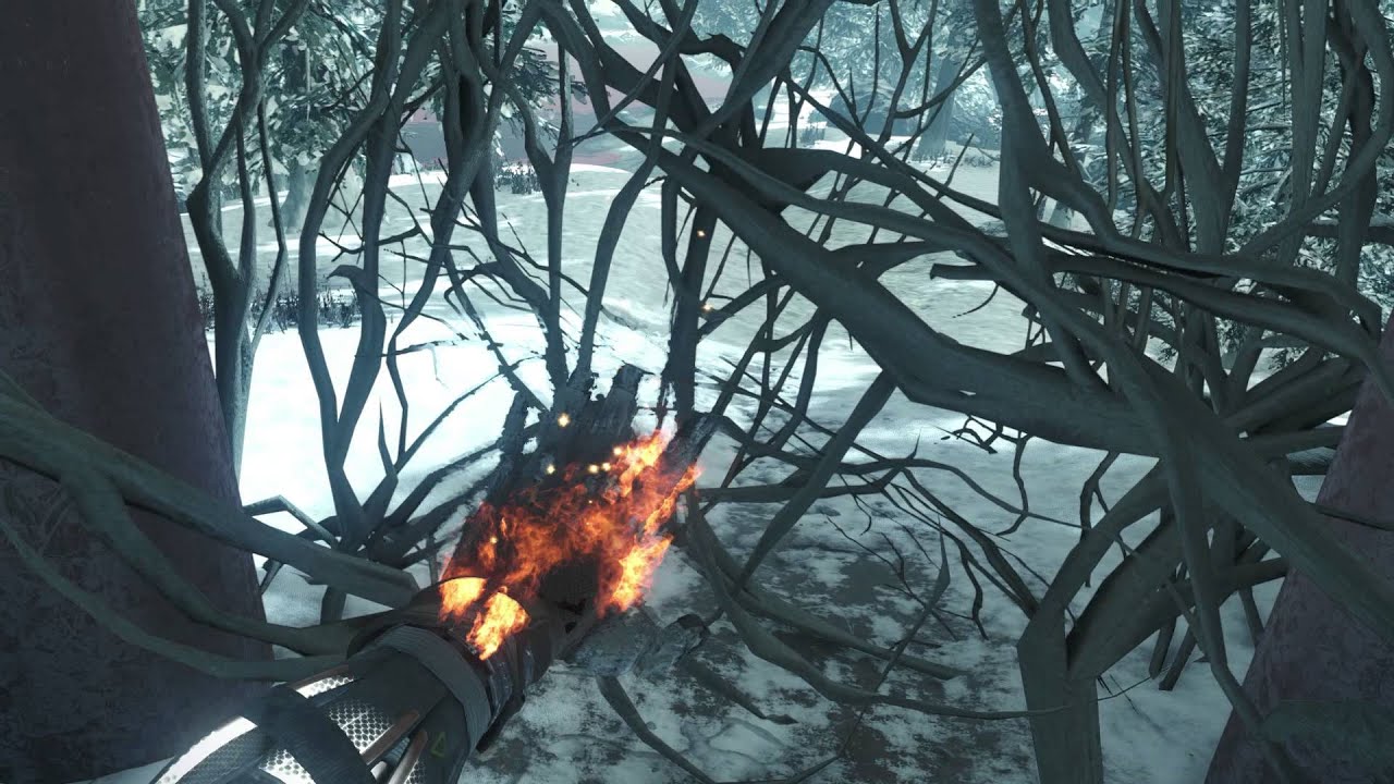 Call of Duty Black Ops lll Life Corvus " A Need. The Frozen Forest