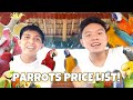 PARROTS PRICE LIST 2022 | PRESYO NG MGA IBON