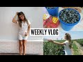 VLOG- blueberry picking, going out w friends, mini haul + CAR GIVEAWAY