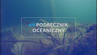Niepodręcznik Oceaniczny odc.102, "Broń chemiczna w Bałtyku"