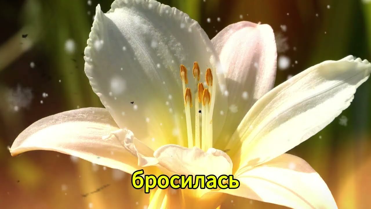 ПОКОРНАЯ ТЕЩА | ЛЮБОВНЫЕ ИСТОРИИ. АУДИО РАССКАЗ.