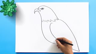 How To Draw A Bald Eagle Bald Eagle Drawing Easy Step By Step Draw The National Bird Of Usa