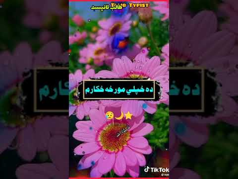 پلار مور خور ورور    