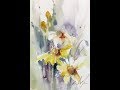 Watercolor/Aquarela -Demo - Daisies