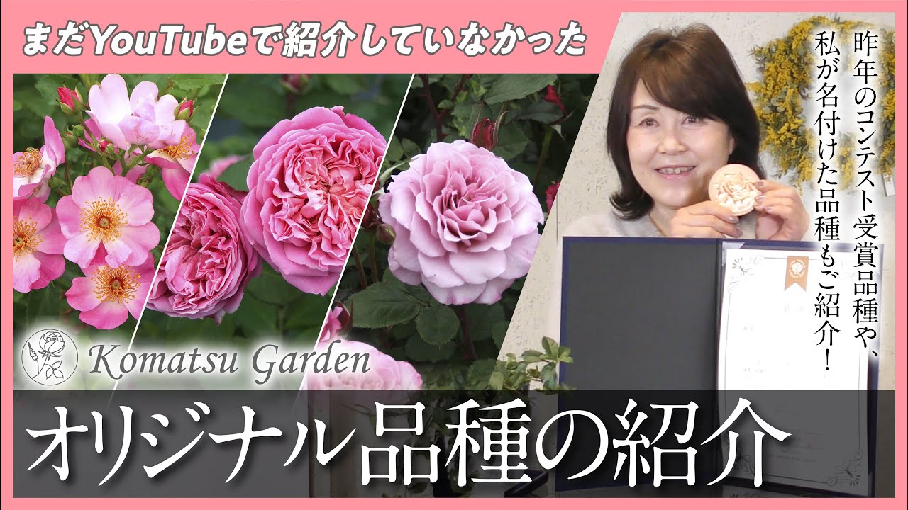 作品紹介　　【バラ】 456品種のバラ図鑑がスマホで見られる！ バラを楽しみ尽くす『花時間