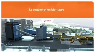 La cogénération biomasse | Veolia