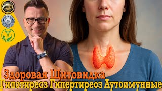 видео: Здоровая щитовидная железа без гипотиреоза, гипертиреоза и аутоиммунных. картинка: Здоровая щитовидная железа без гипотиреоза, гипертиреоза и аутоиммунных.