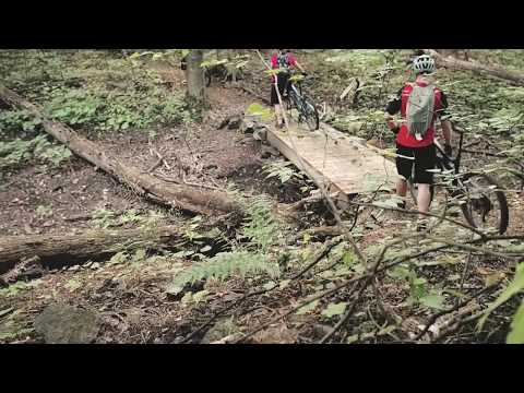 Bripe in a group doing what you love most!