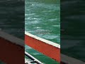 Đêm lao xao cover. #coversong #cover #singing #shorts #song #music