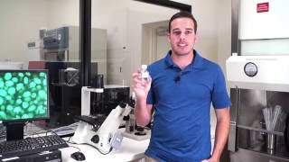 PureCol® EZ Gel - Easy 3D Collagen Gels