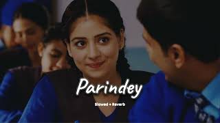 Parindey (slowed + reverb )- B Preak | new Punjabi song 2024 | KL Lofi