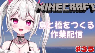 【 #Minecraft 】　夜のマイクラ整地作業配信🐰♪　【＃新人VTuber /　白玉うな 】