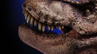 Jurassic Park Female 1:5 scale T-Rex Bust