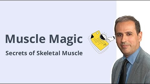 Gedragskenmerken van skeletspieren uitgelegd | Biomechanica van de spier-peeseenheid