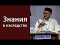 Важность образования