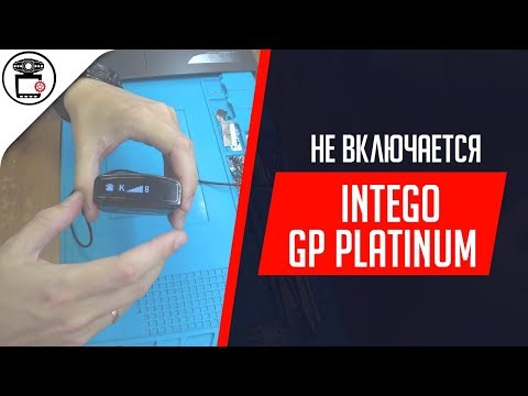 Не включается Intego GP Platinum - прошивка процессора BooRee | SERVICEMAN