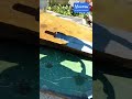 Montenegro client feedback AKQ 1500 1500W laser cleaning machine Acctek China